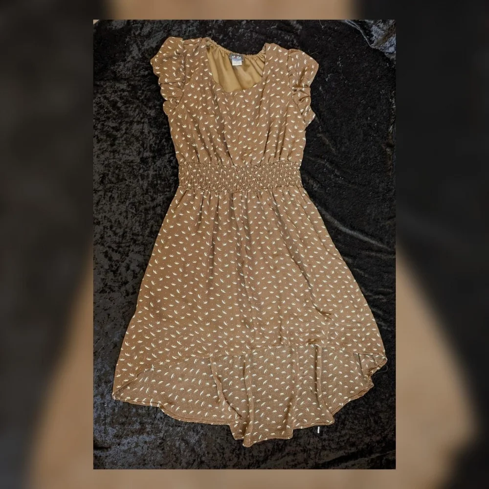 Dots Brown & White Bird Polka Dot Short Sleeve Hi-low Dress - Picture 3 of 5